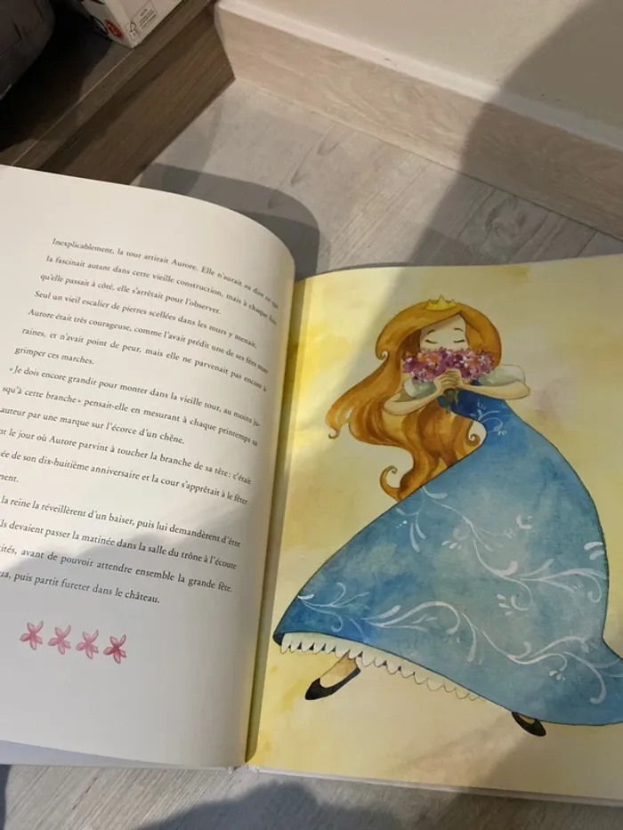 Jolie livre la belle au bois dormant - photo numéro 2