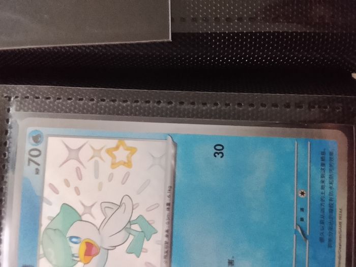 Cartes pokemon chinois - photo numéro 3