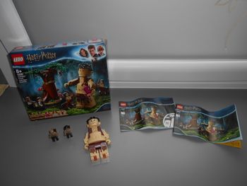 Lego Harry Potter n°75967: La forêt interdite: la rencontre d'ombrage