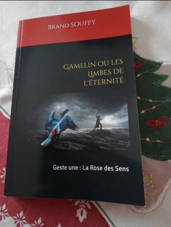 Livre Gamelin ou les limbes de l'éternité