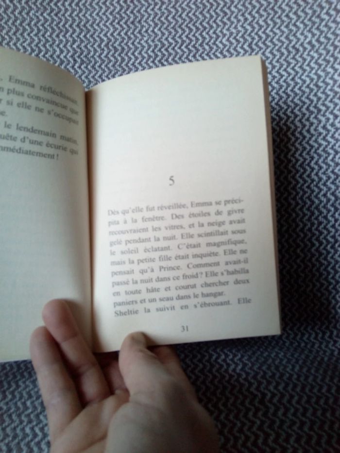 Sheltie et le poney abandonné T.413 - Bayard Jeunesse - photo numéro 6