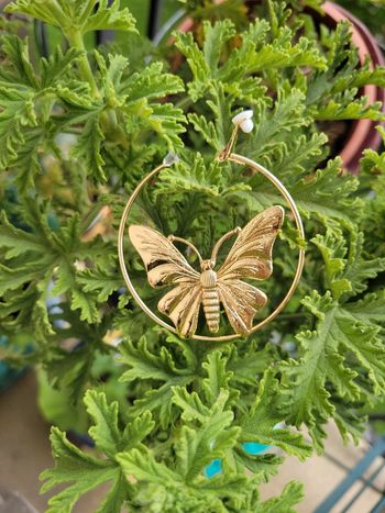 Clips creoles acier gold papillon. 6cm