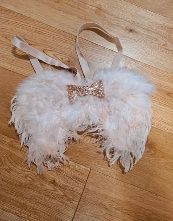 Ailes anges en plumes