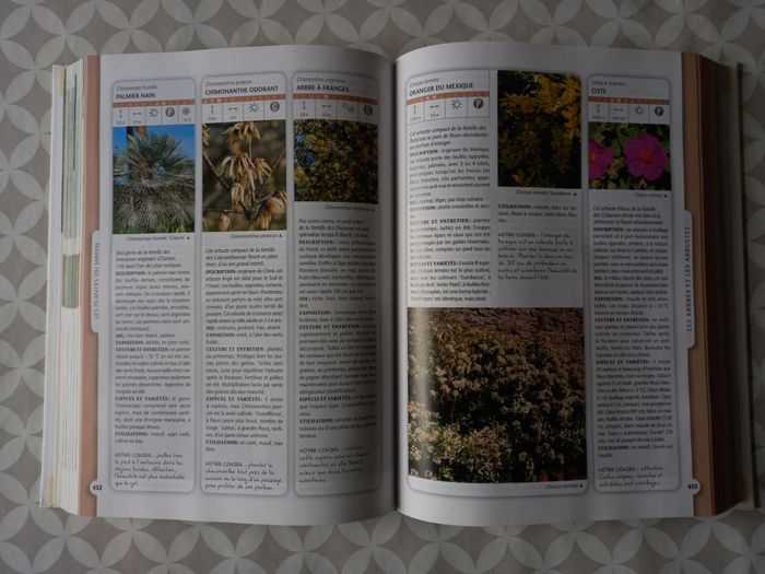 Le Truffaut: La bible illustrée du jardin - photo numéro 3