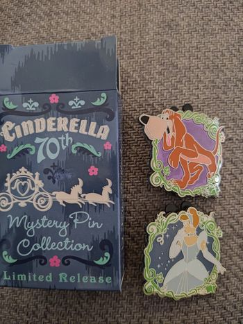 Pins Cendrillon