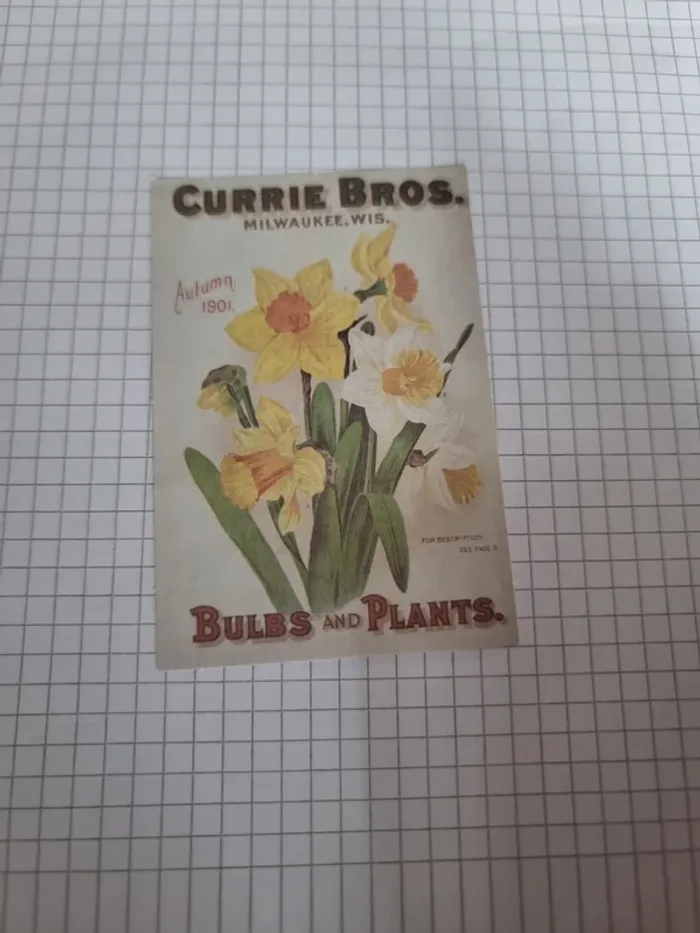 Divers papier scrap (lot B) - photo numéro 10