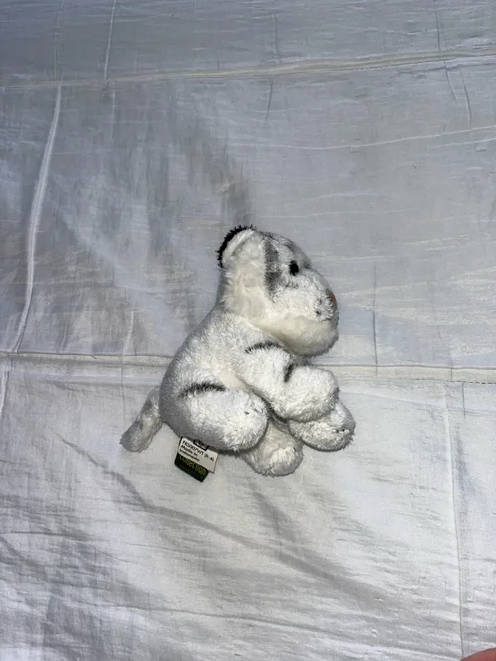 Tigre blanc - photo numéro 2