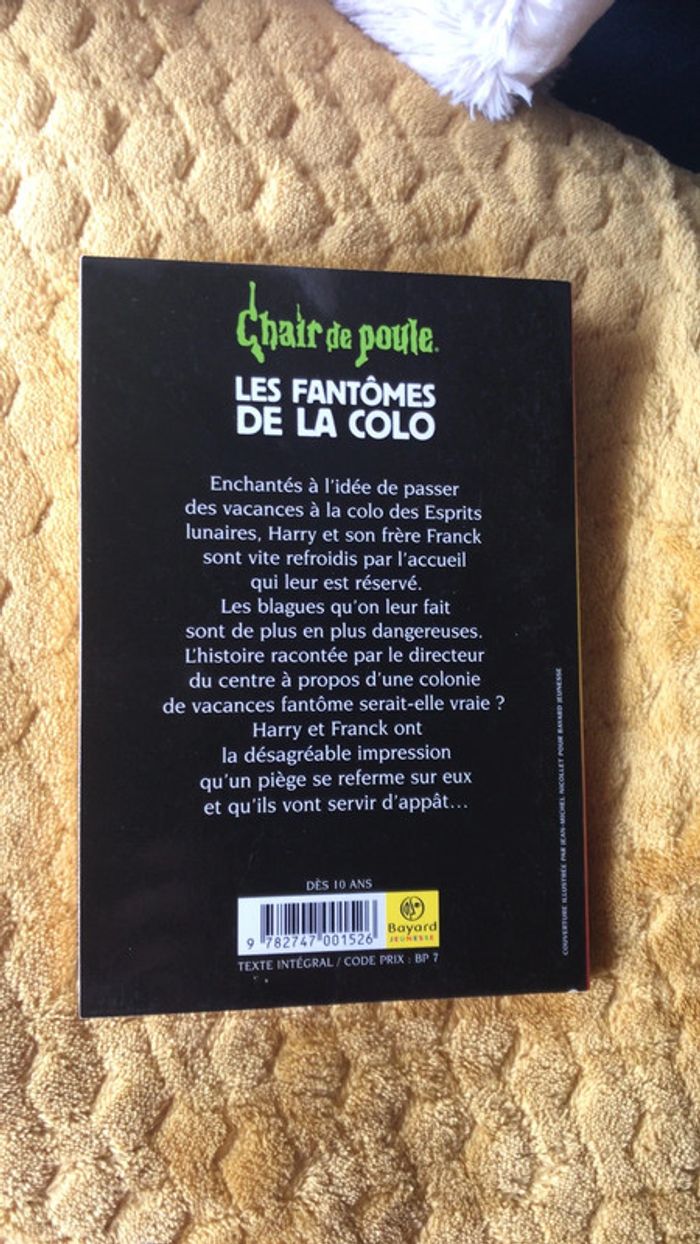 Livre collection chair de poule - photo numéro 3