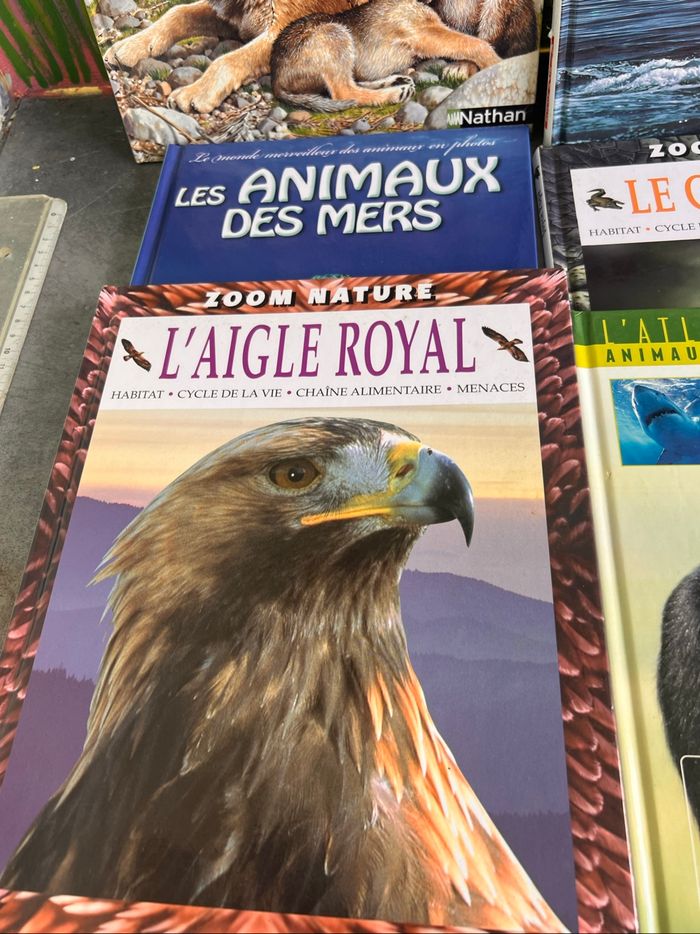 Atlas des juniors - photo numéro 8