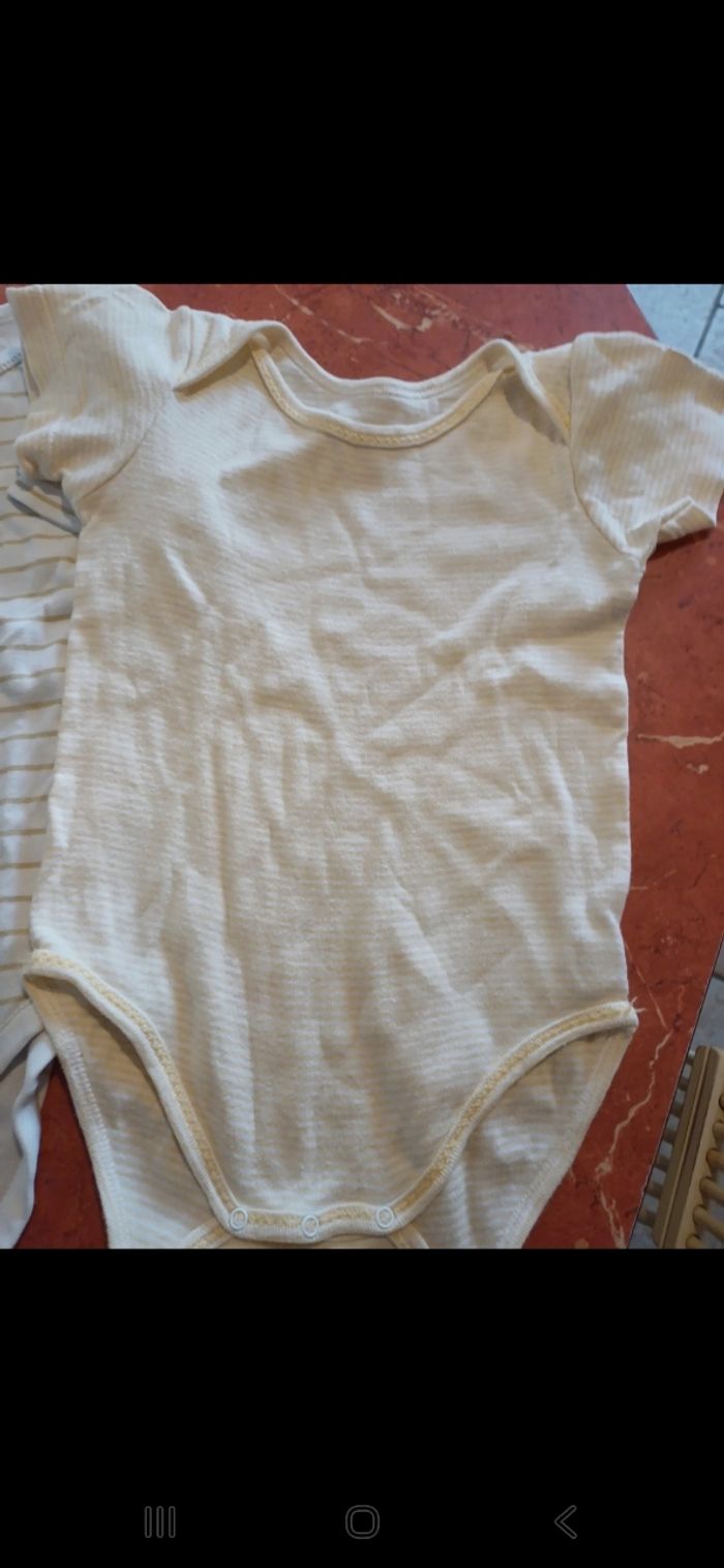 Lot de 2 bodies taille 36 mois - photo numéro 2