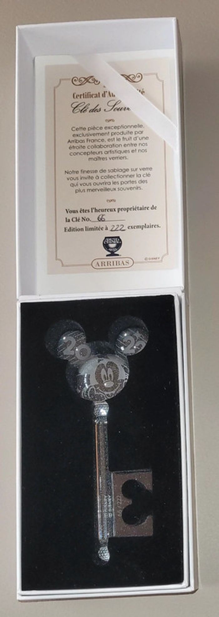 Cle llave key arribas mickey 2022 disney - photo numéro 4