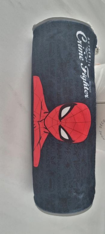 Trousse Spiderman 21cm