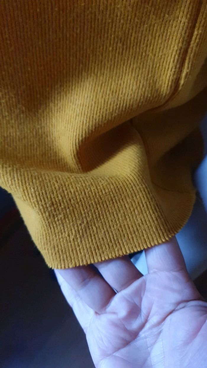 Pull court - photo numéro 8