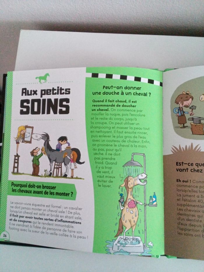 Dis pourquoi ? les chevaux - photo numéro 3