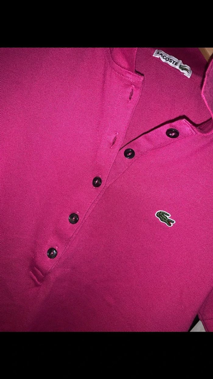 Polo Lacoste M