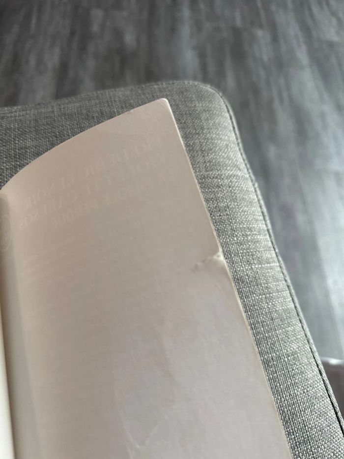 Livre la parole perdue - photo numéro 8