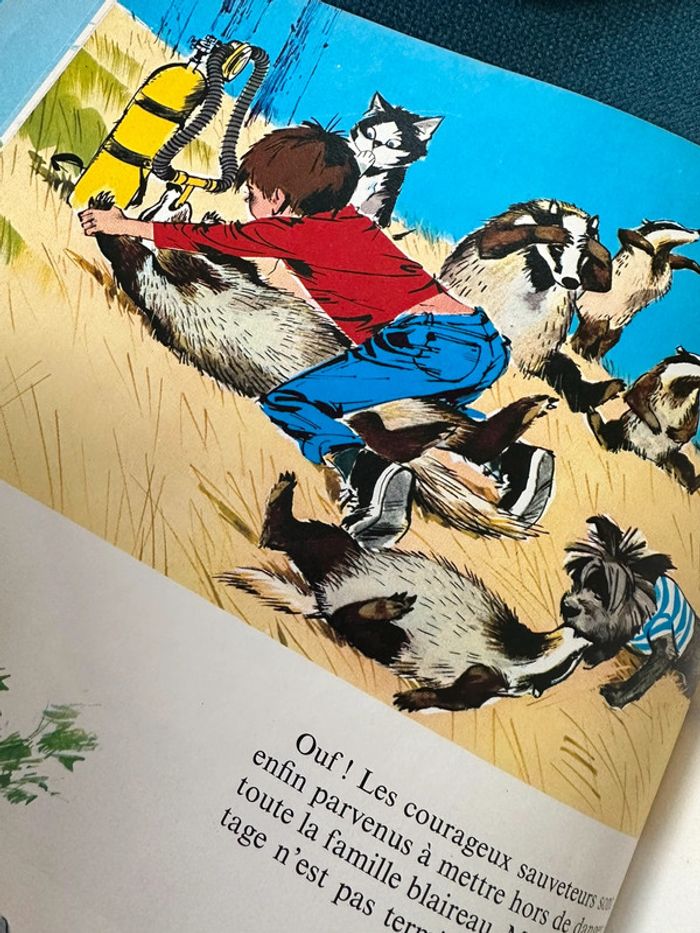 1979 Livre ancien Fanfan et la colline en feu Pierre Probst auteur Caroline album grand Hachette - photo numéro 6