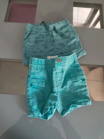 Lot 2 shorts