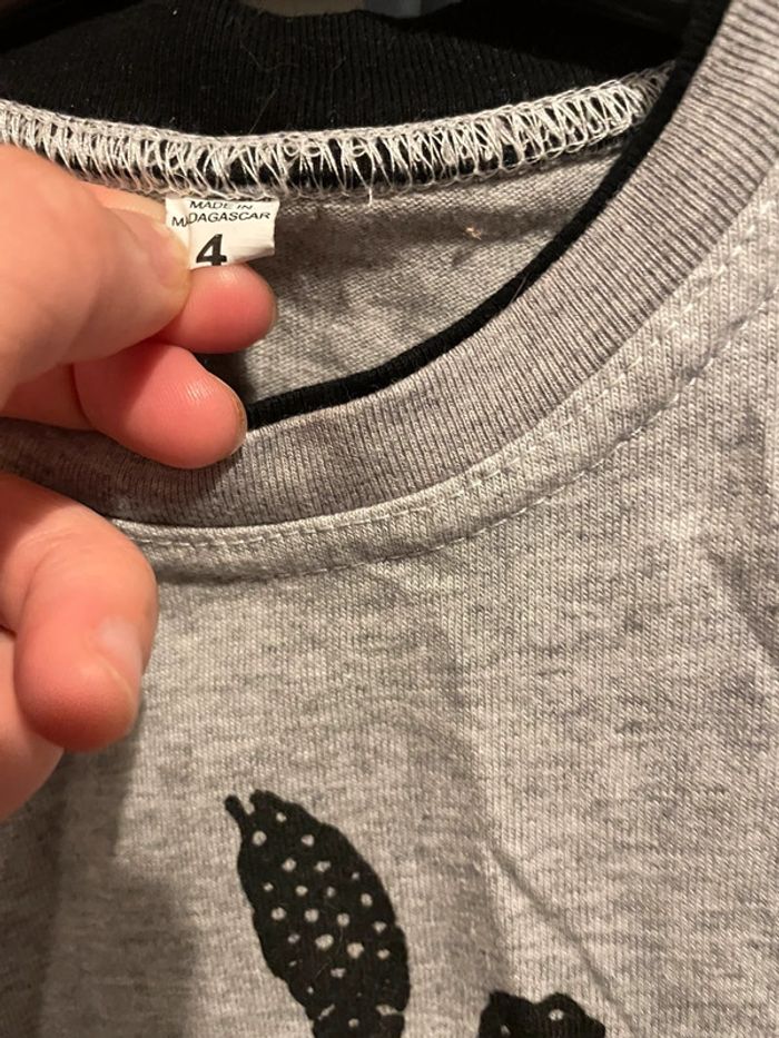 Tee shirt gris 4 ans , île de la réunion - photo numéro 5