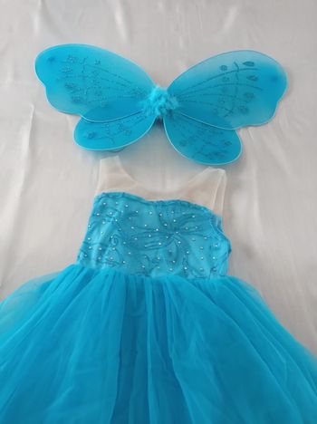 Déguisement robe princesse bleu aile de papillon 3-4ans