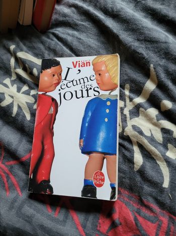 L écume des jours Boris Vian