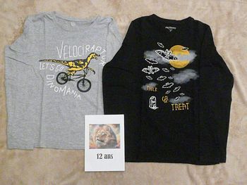 Lot de 2 tee-shirts 12 ans (n°6)