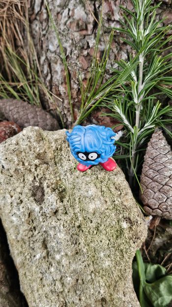 Super figurine Pokemon Nintendo tomy C.G.T.S.J saquedeneu 