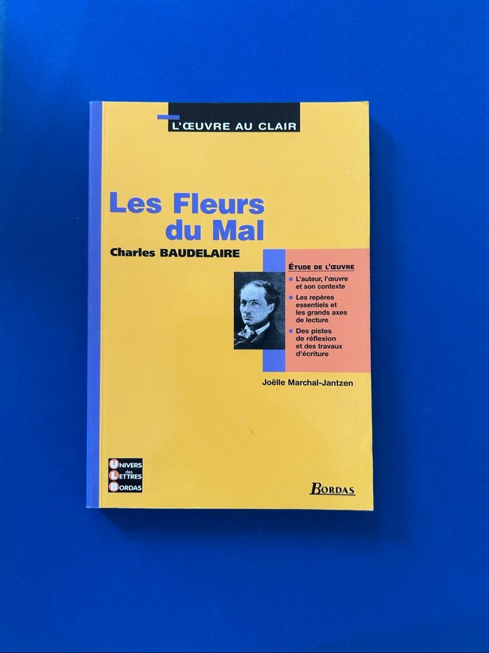 Les fleurs du mal Baudelaire