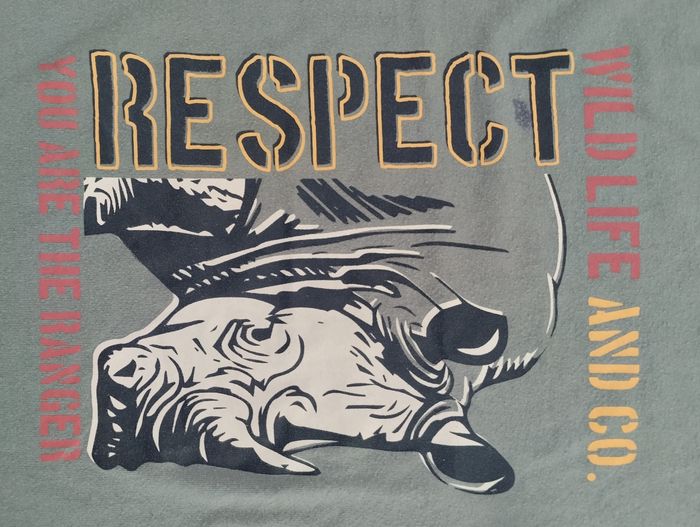 T-shirt manches courtes 💚 - photo numéro 3