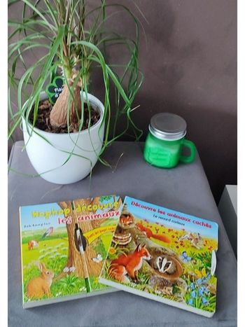 Lot 2 livres animés