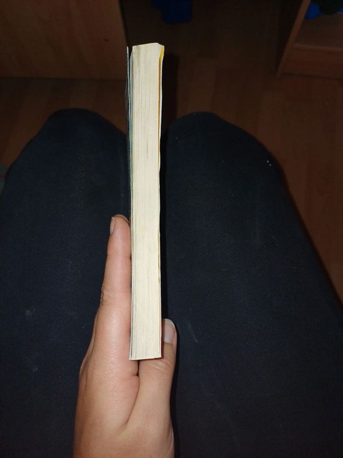 Livre en voiture Simone - photo numéro 2