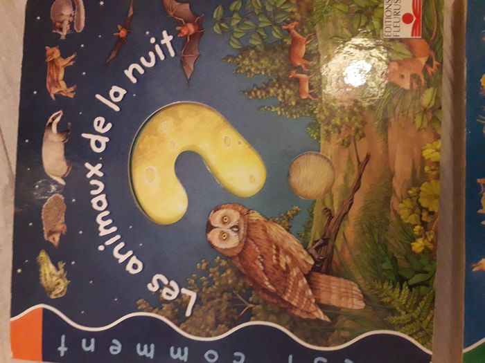 Livres à rabat "c'est comment ? " - photo numéro 4