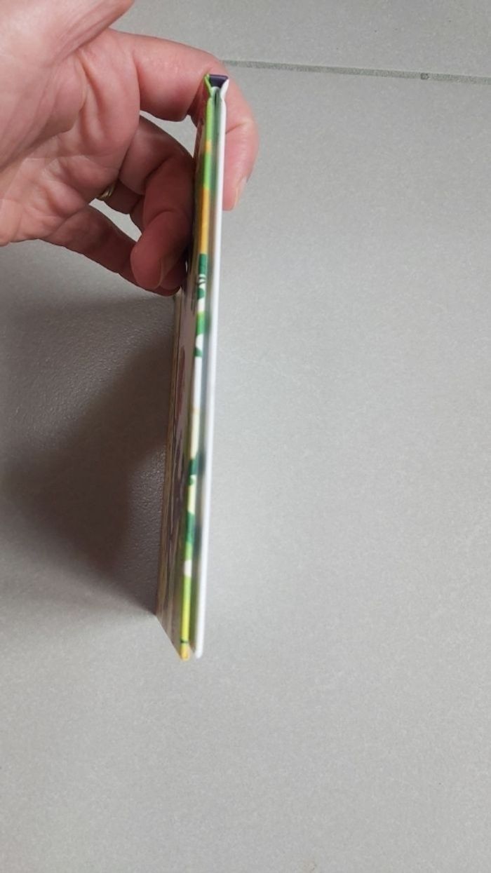 Le perroquet qui ne pipait mot - photo numéro 5