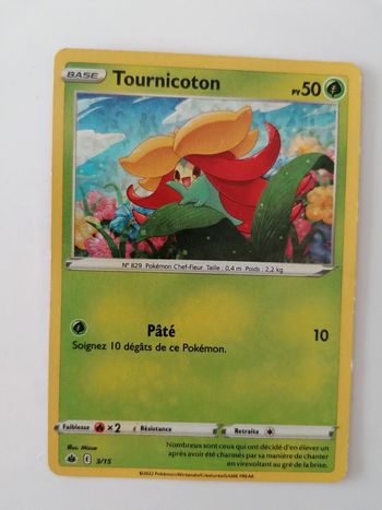 Carte Pokémon Tournicoton 🐥