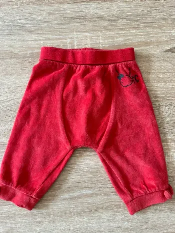Pantalon rouge Orchestra