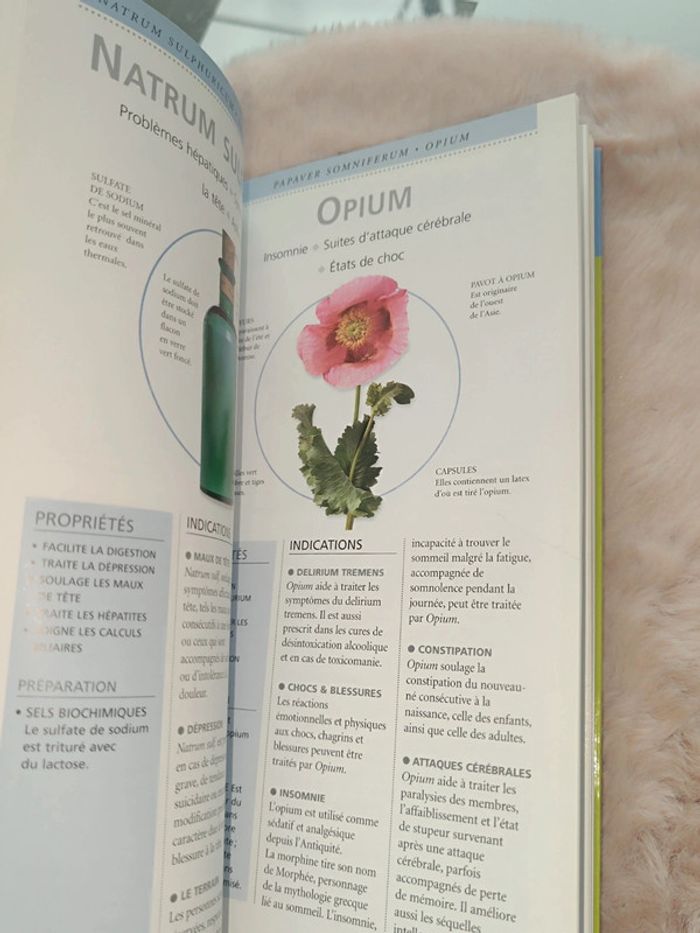 Mini encyclopédie santé-Homéopathie🍀 - photo numéro 3