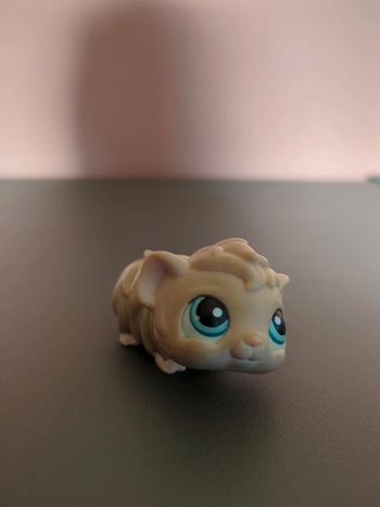Littlest Petshop Cochon d'Inde