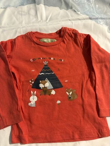 T shirt mes petits cailloux 6 mois 