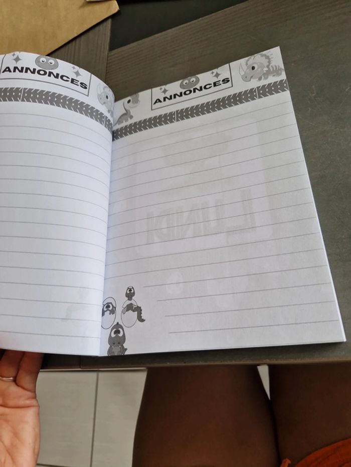 Cahier de texte enfant thème dinosaures - photo numéro 6