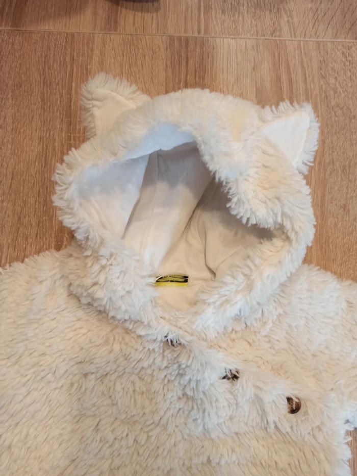 Combinaison pilote 1 mois chat - photo numéro 2