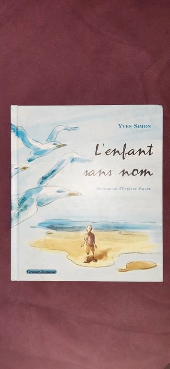 Livre l'enfant sans nom