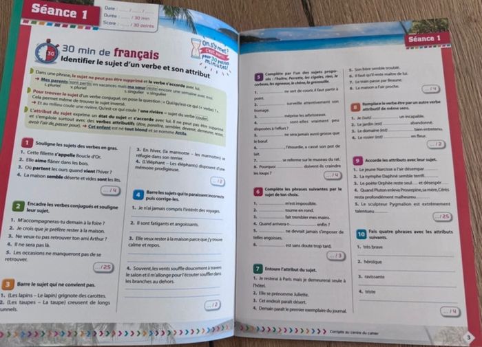 Les révisions concentrées 6e vers 5e Bordas neuf - photo numéro 3