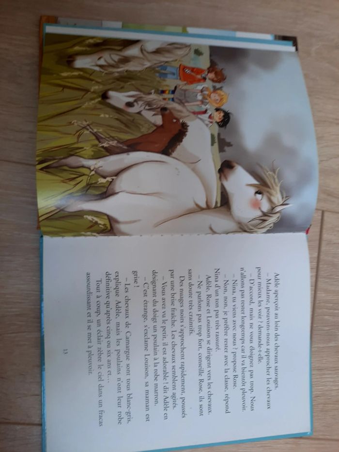 Lot de livres poney et chevaux - photo numéro 3