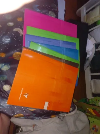 Cahiers Clairefontaine 48 pages