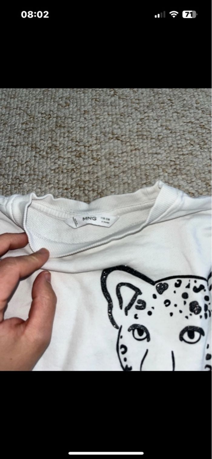 Pulls fille - photo numéro 14