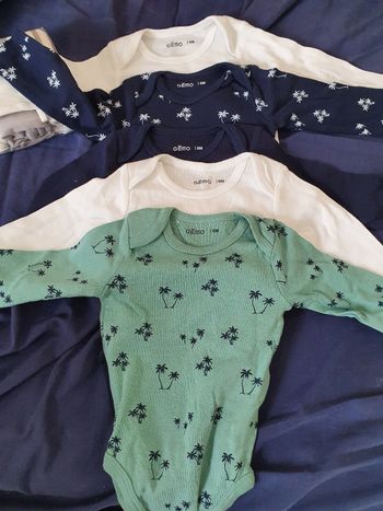 Lot 13 bodys neufs 6 mois ml