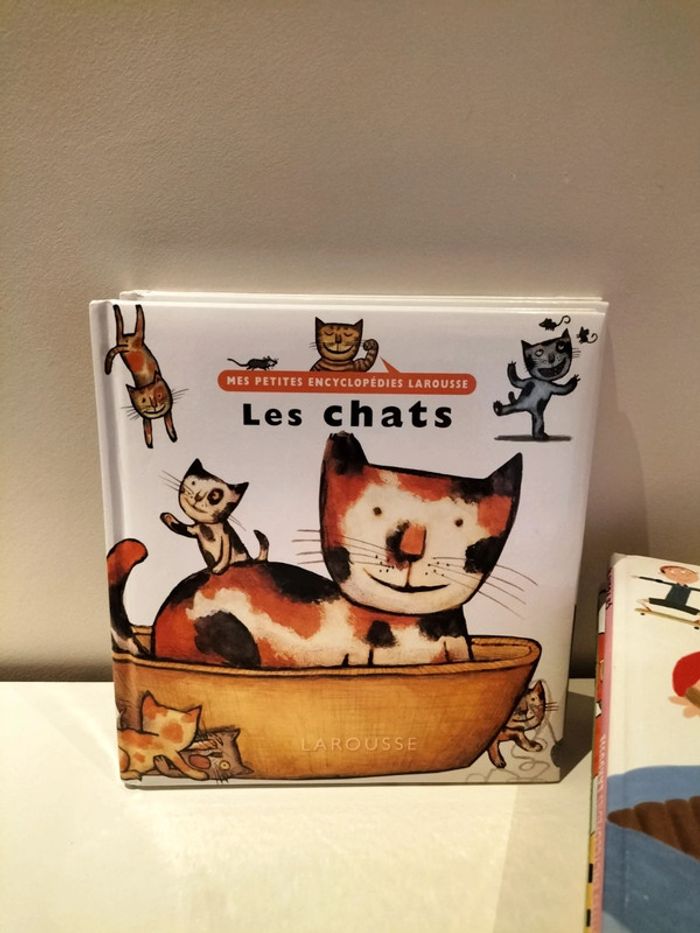 Lot de 8 documentaires Mes petites encyclopédies - photo numéro 10