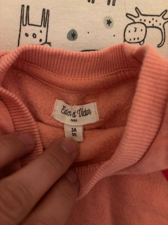 Pull 3 ans Eden et Victor - photo numéro 2