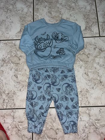 Ensemble simba