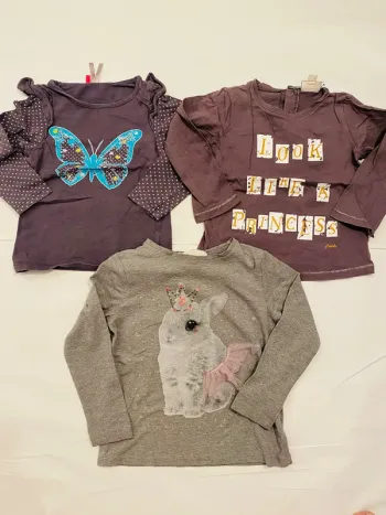 Lot 3 t-shirts manches longues fille 24 mois